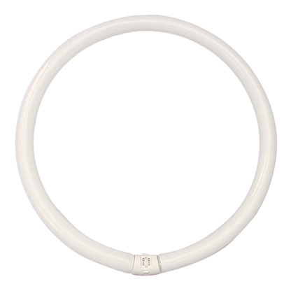 Box of 10 Circular Fluorescent Lamp 40W