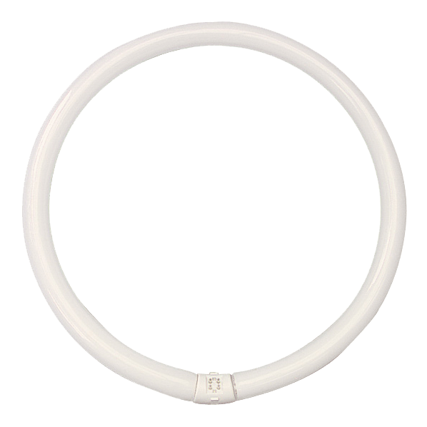 Circular Fluorescent Lamp 40W