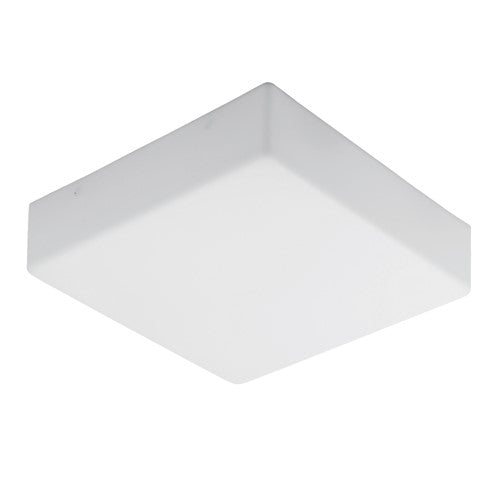 Fluorescent seamless look Ceiling Light