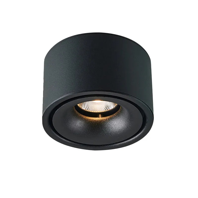 DL1542 Downlights