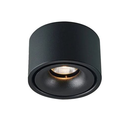 DL1542 Downlights