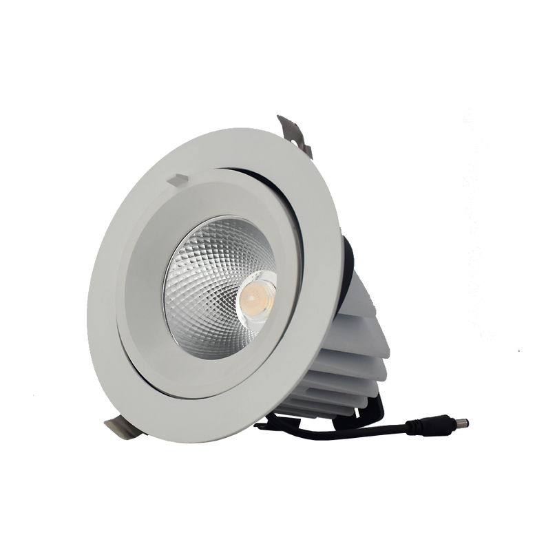 LED Round Adjustable Downlight DL3503