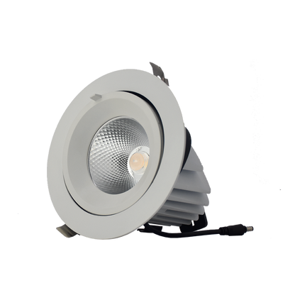 LED Round Adjustable Downlight DL3503