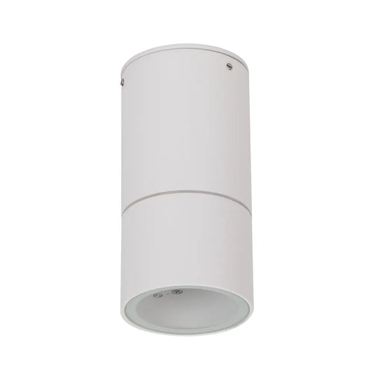 ELITE-SM Surface Mount Exterior Downlight