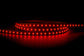 384LED IP20 LED Strip Per Metre