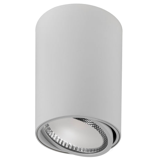 18w Tilt Adjustable IP20 Remote Dali Dimmable Surface Mounted Downlight