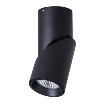 Rotatable IP54 Remote Dali Dimmable Surface Mounted Downlight