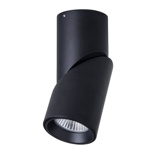 Rotatable IP54 Remote Dali Dimmable Surface Mounted Downlight