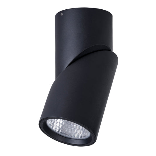Rotatable IP54 Dali Dimmable Surface Mounted Downlight