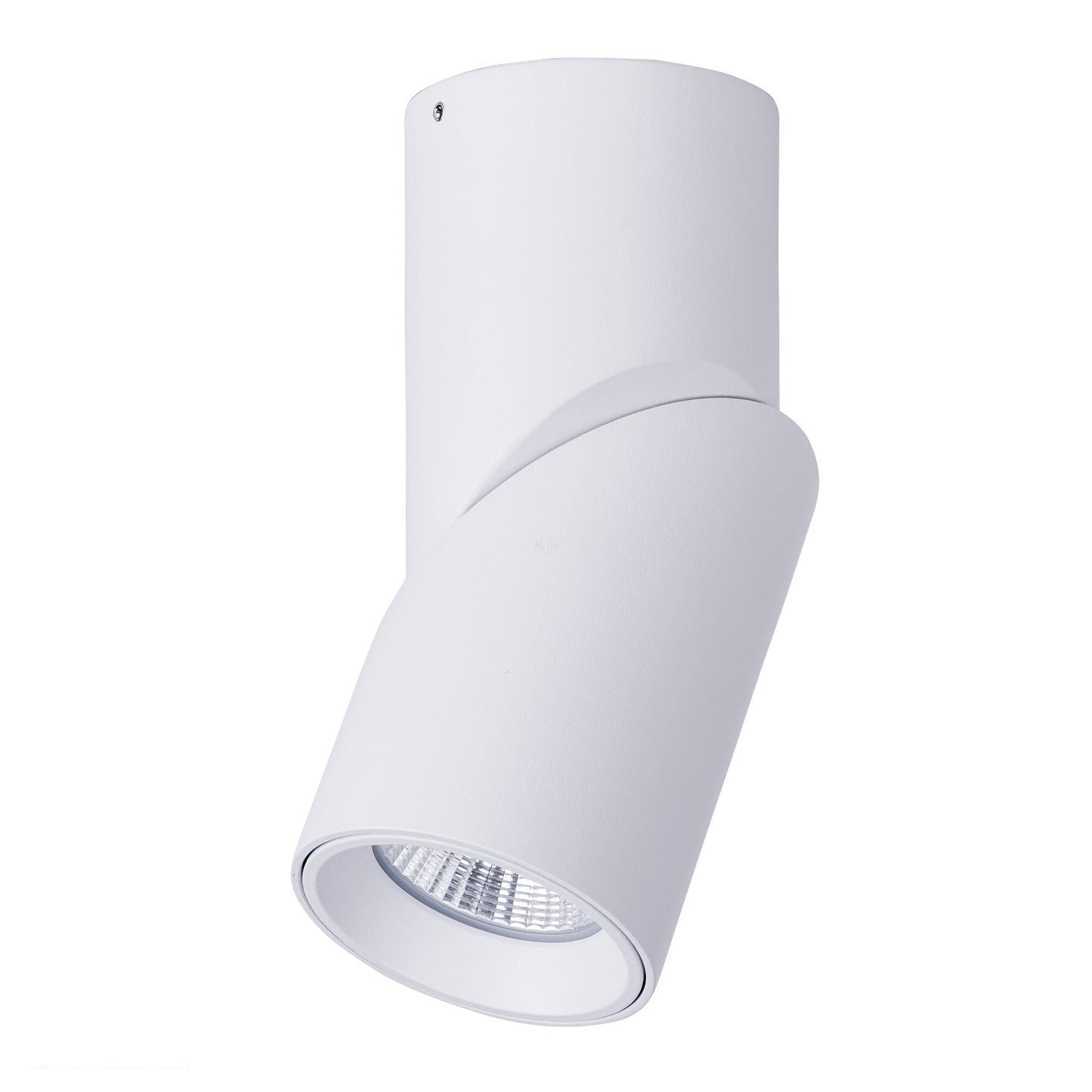Rotatable IP54 Remote Dali Dimmable Surface Mounted Downlight