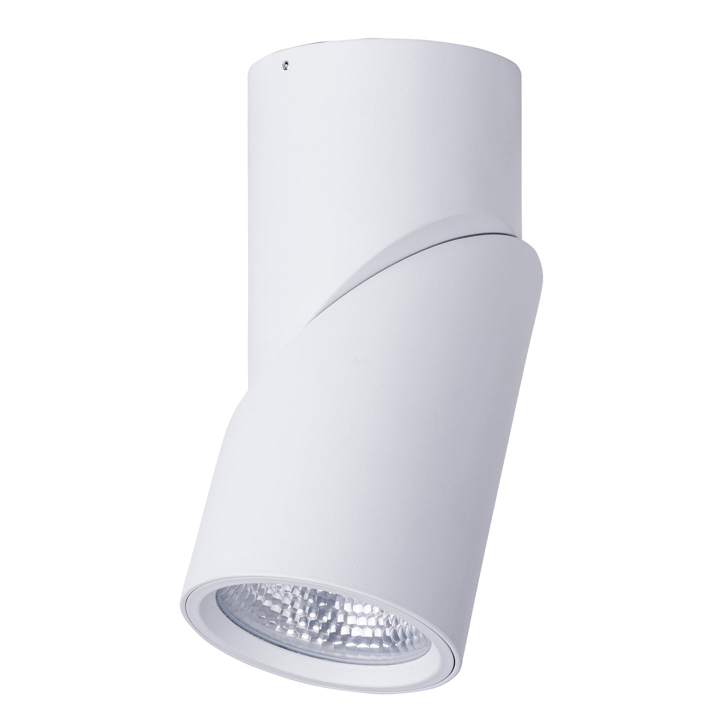Rotatable IP54 Dali Dimmable Surface Mounted Downlight