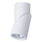 Rotatable IP54 Dali Dimmable Surface Mounted Downlight