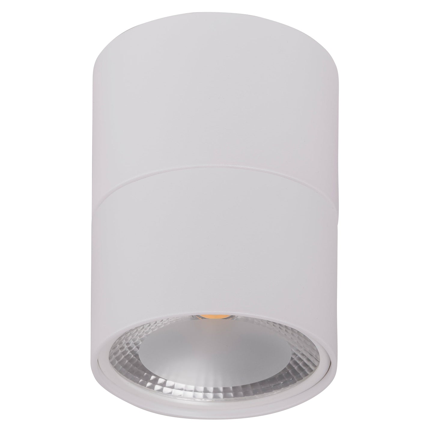 12w Fixed Down IP54 Dali Dimmable Surface Mounted Downlight