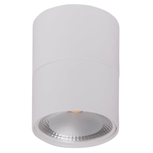 12w Fixed Down IP54 Dali Dimmable Surface Mounted Downlight