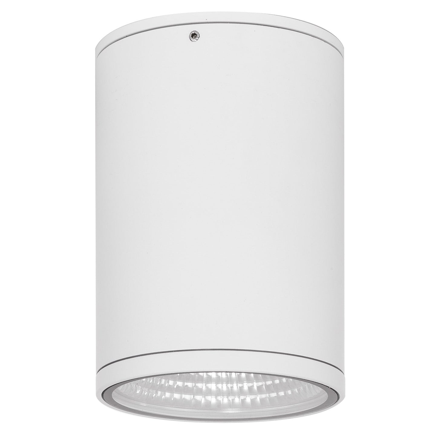 15w Fixed Down IP65 Surface Mounted Downlight
