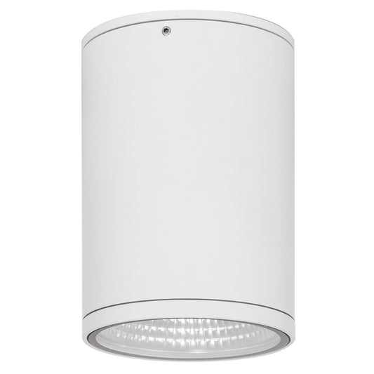15w Fixed Down IP65 Surface Mounted Downlight