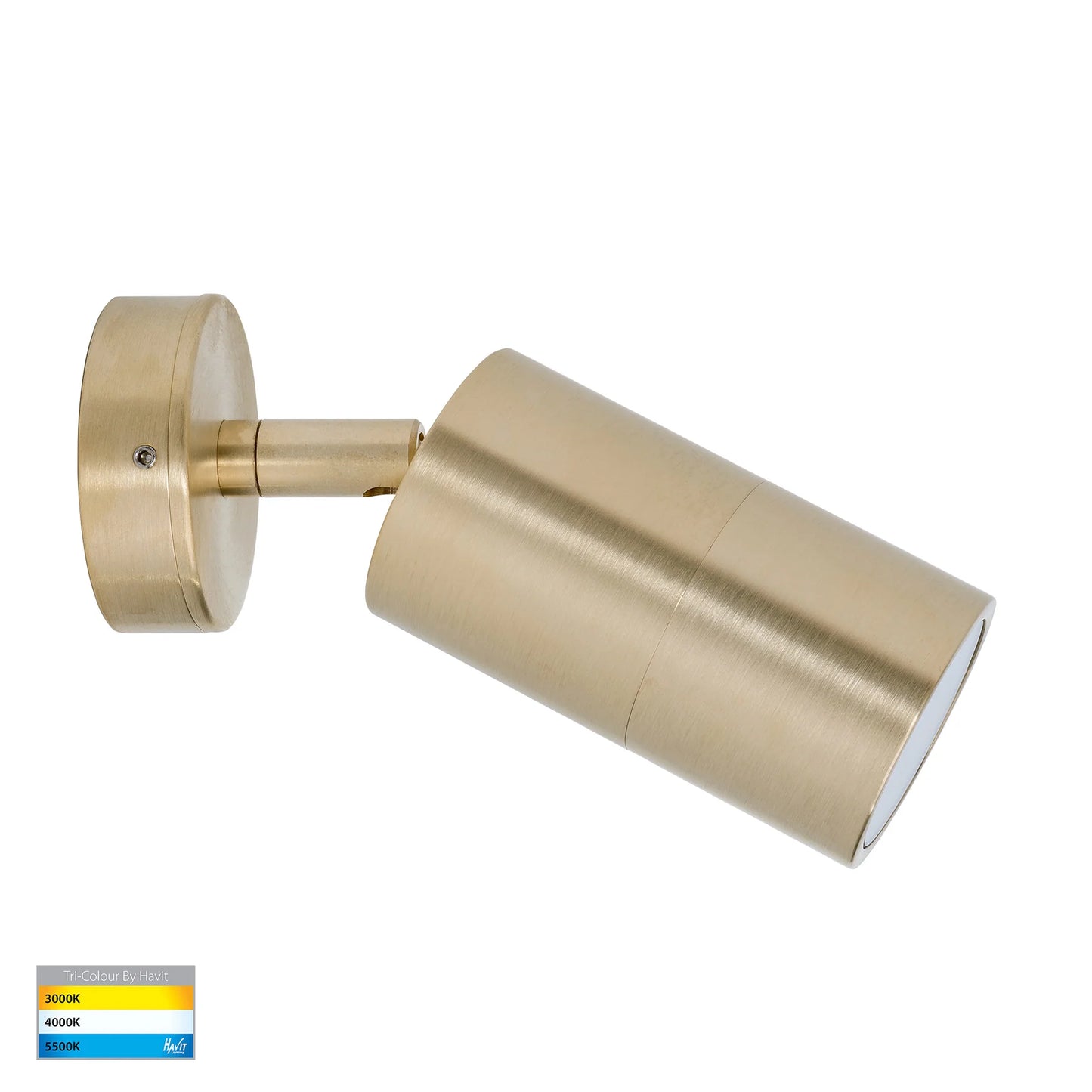 Single Adjustable Wall Pillar Light Brass