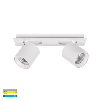 Sbarra 2 Light Adjustable Bar Light