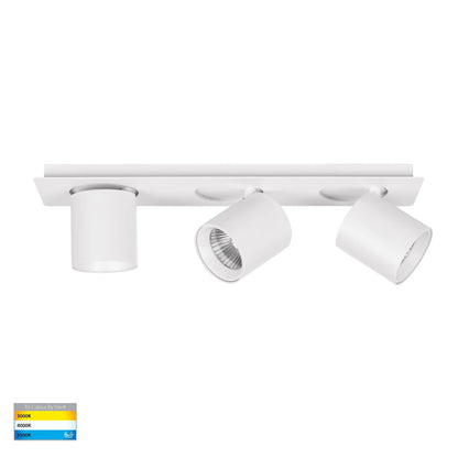 Sbarra 3 Light Adjustable Bar Light
