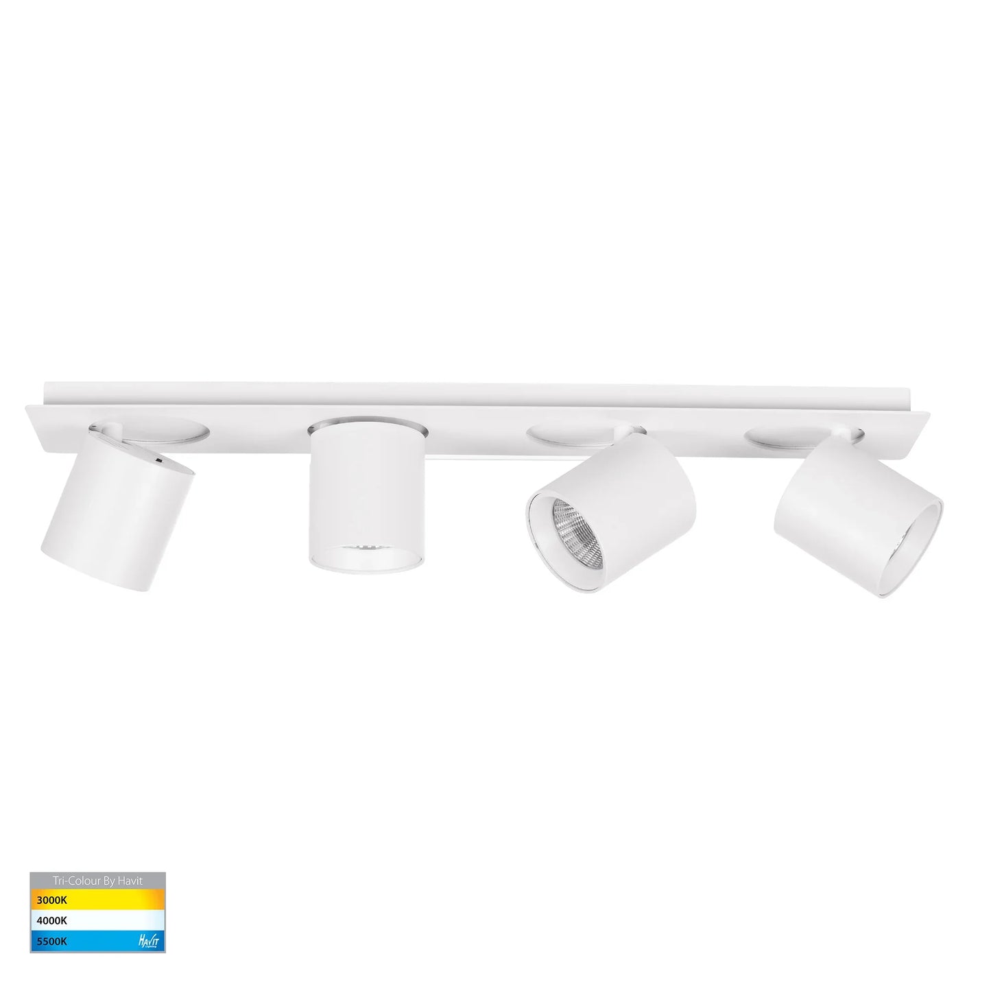 Sbarra 4 Light Adjustable Bar Light