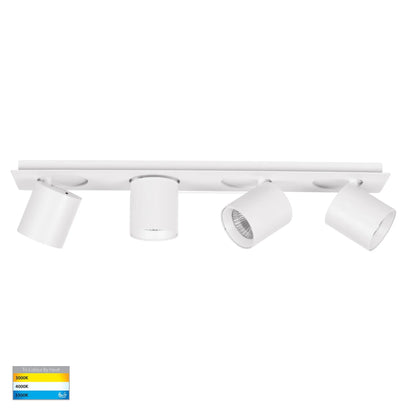 Sbarra 4 Light Adjustable Bar Light