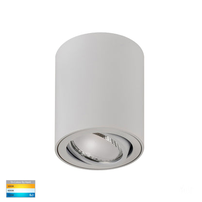 Surface Mounted Adjustable Round Downlight HV5812t