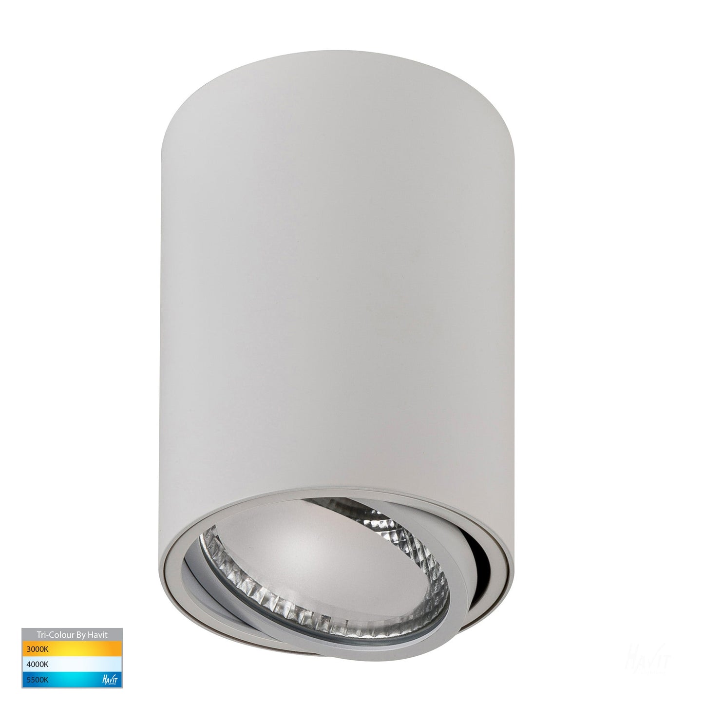 Surface Mounted Adjustable Round Downlight HV5813t