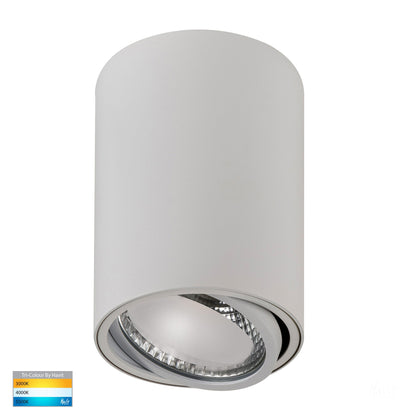 Surface Mounted Adjustable Round Downlight HV5813t