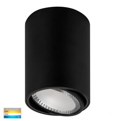 Surface Mounted Adjustable Round Downlight HV5815t