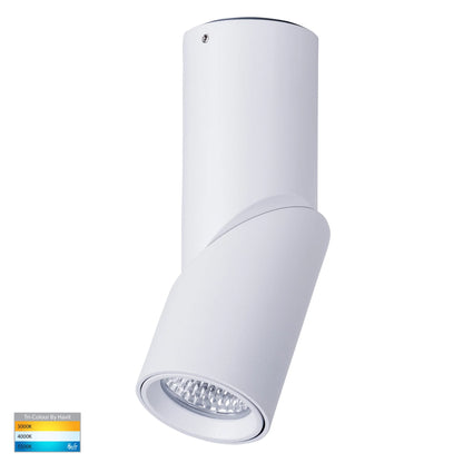 Surface Mounted Rotatable Round Downlight HV5822t
