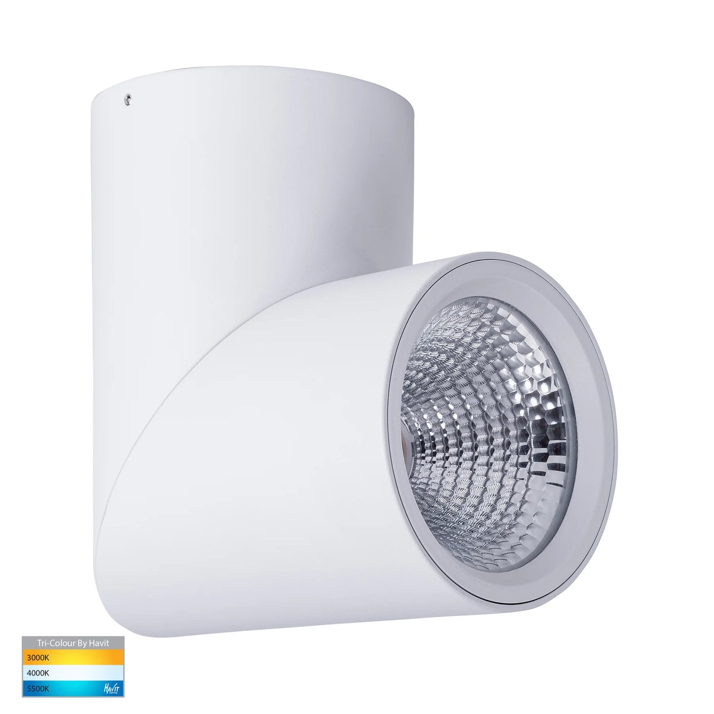 Surface Mounted Rotatable Round Downlight HV5825t