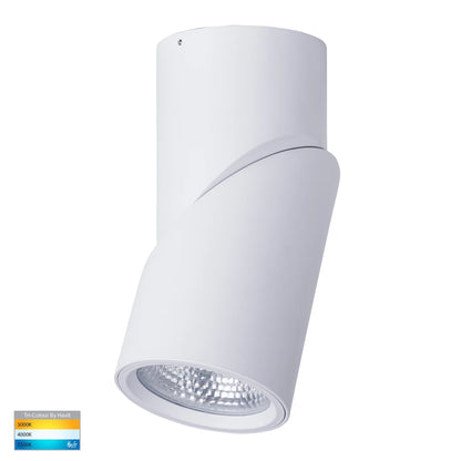 Surface Mounted Rotatable Round Downlight HV5825t