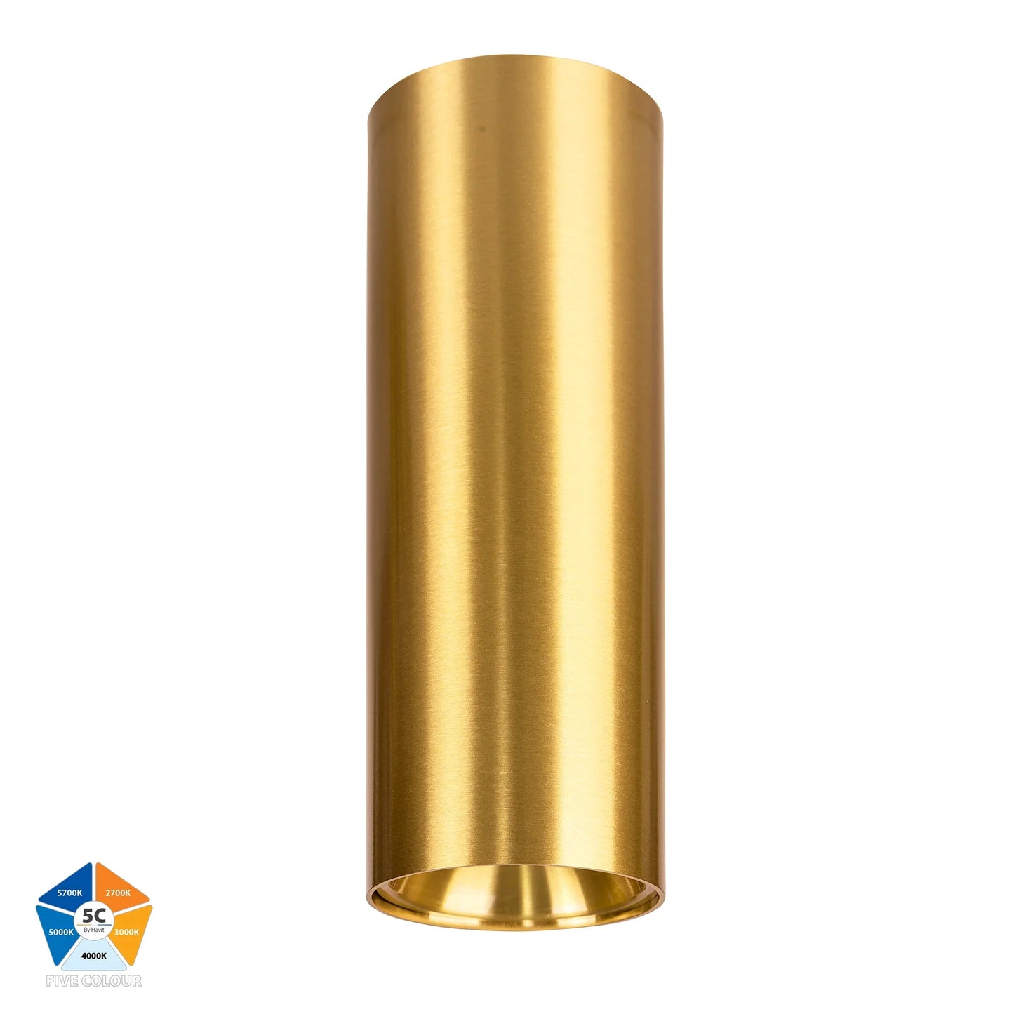 Nella Brass 12w Surface Mounted LED Downlight