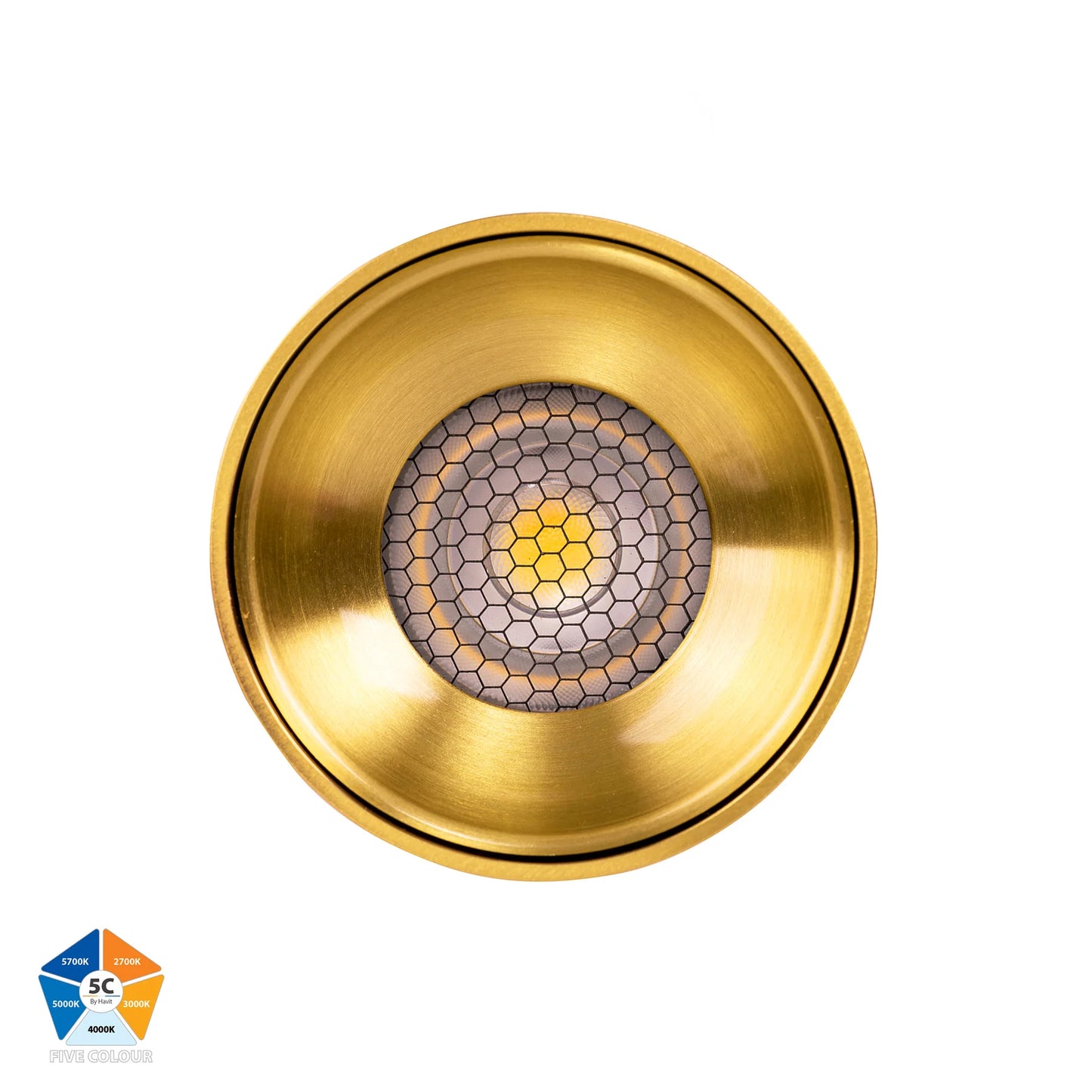 Nella Brass 7w Surface Mounted LED Downlight