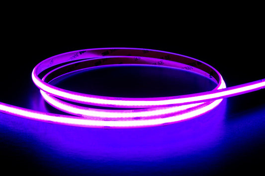Violet 10W COB Strip Lighting