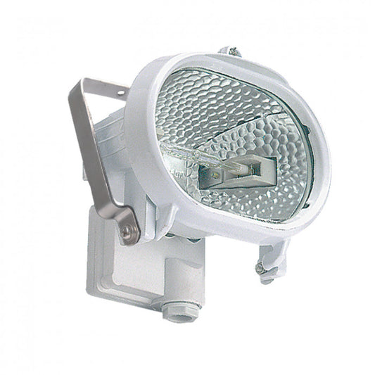 Linear Oval IP Security Flood Light