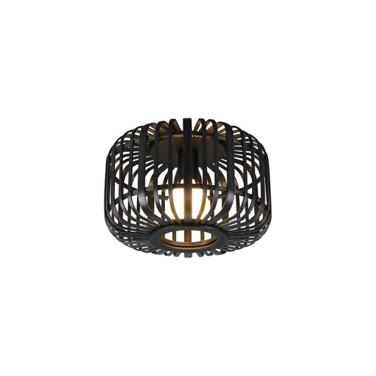 Canaya Ceiling Light