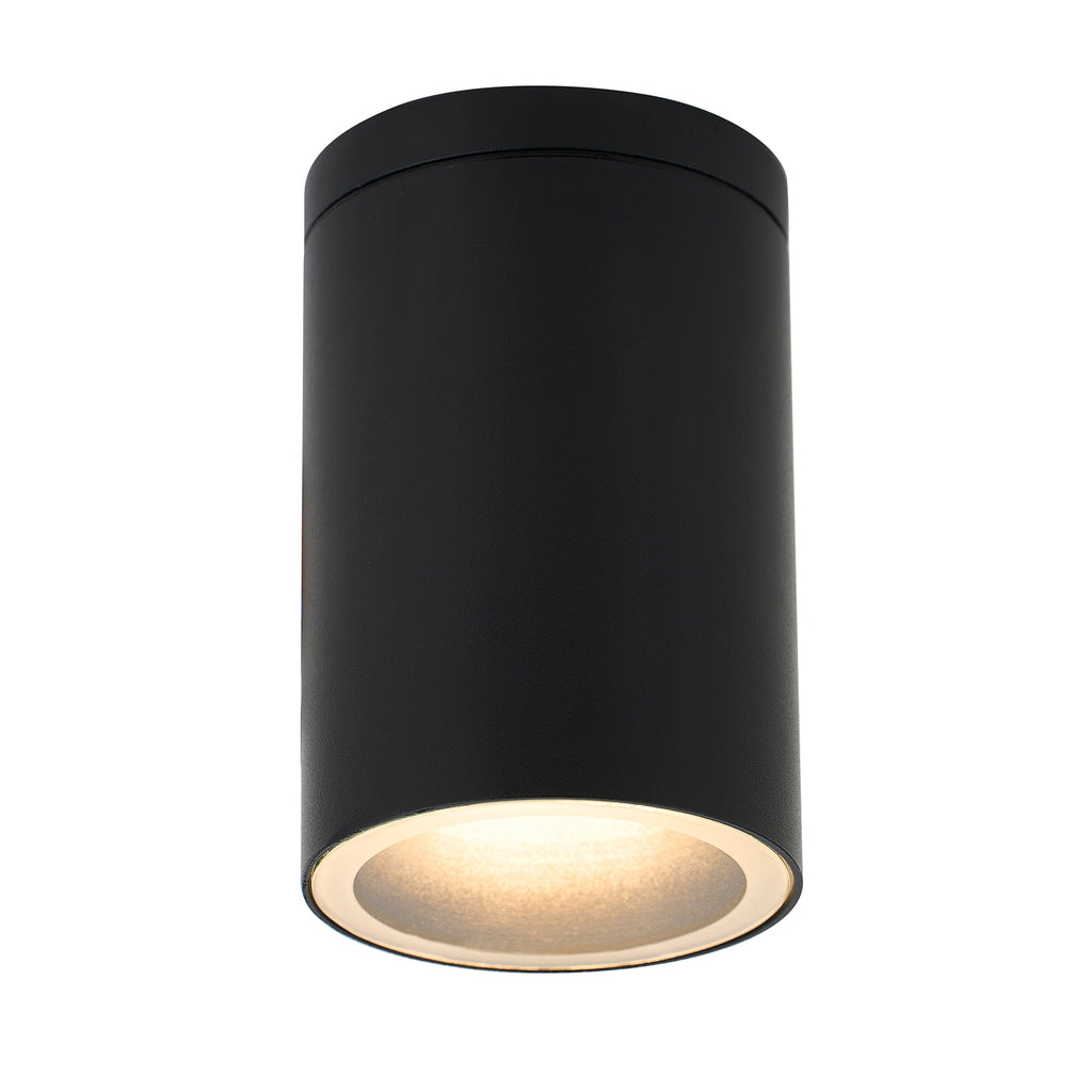 Myren Outdoor Ceiling Light