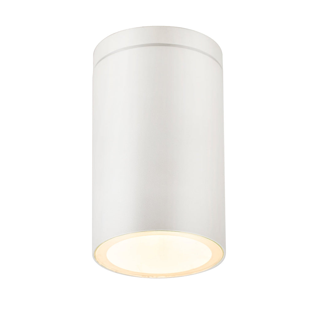 Myren Outdoor Ceiling Light