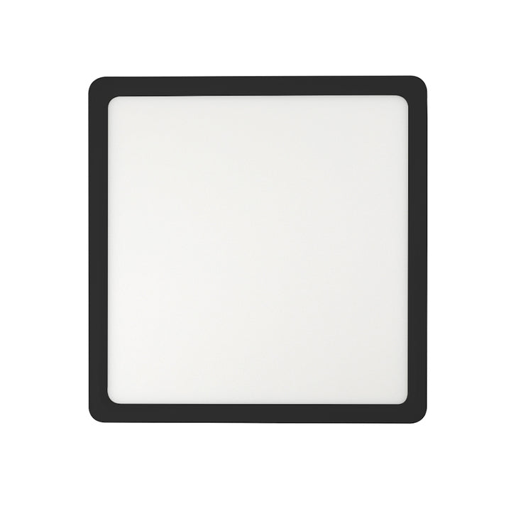 Lunos Square Oyster