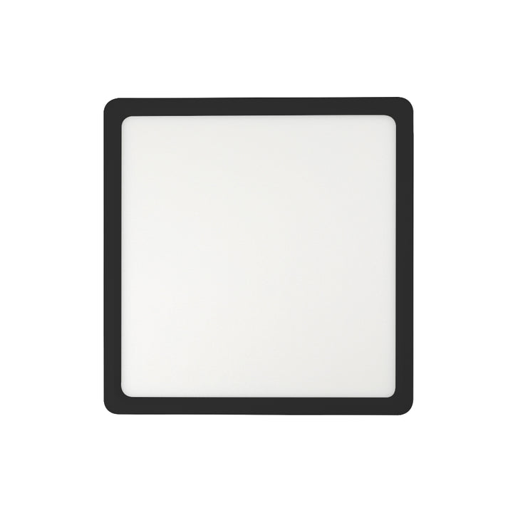 Lunos Square Oyster