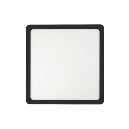 Lunos Square Oyster
