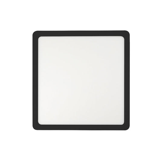 Lunos Square Oyster