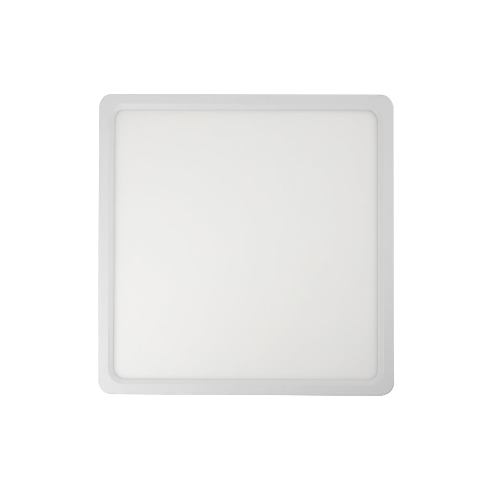 Lunos Square Oyster