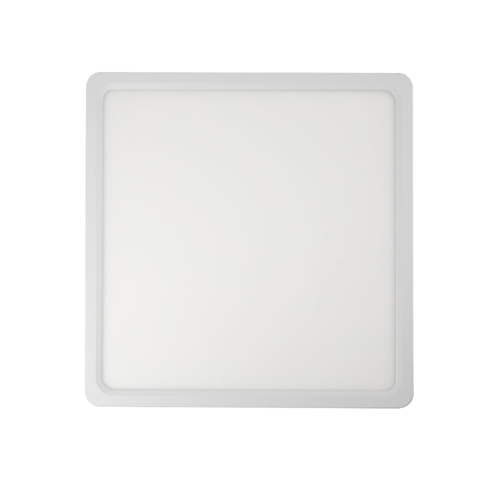 Lunos Square Oyster