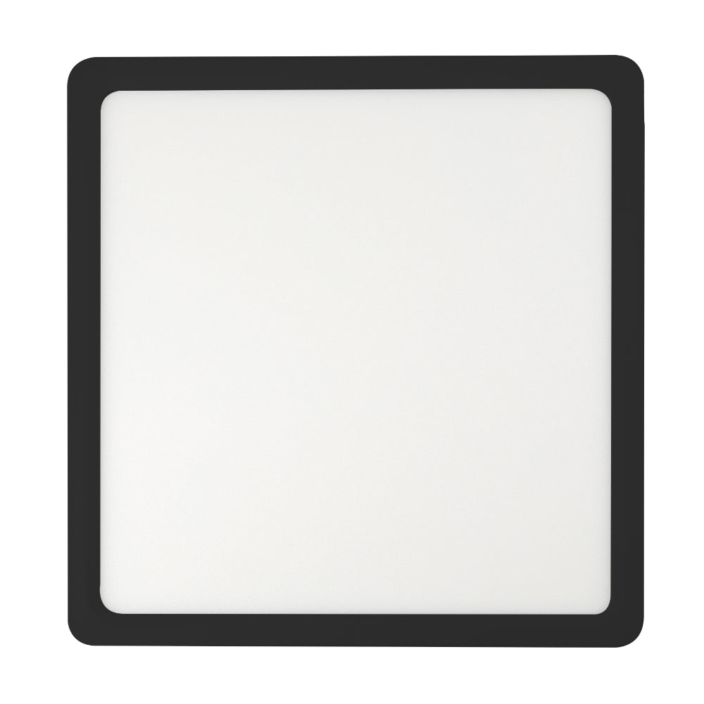 Lunos Square Oyster