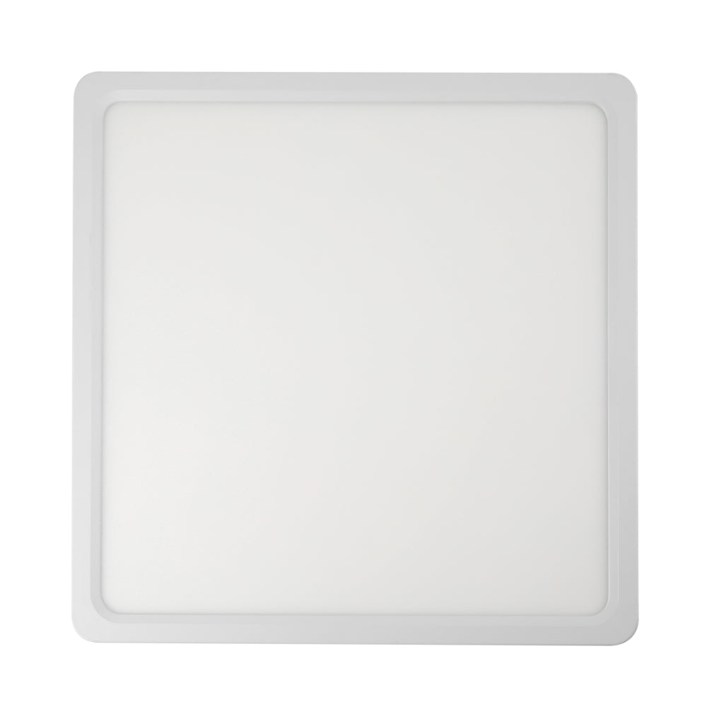 Lunos Square Oyster