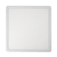 Lunos Square Oyster