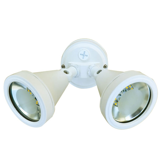 Cadet LED Floodlight