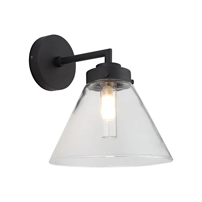 Matisse Wall Light
